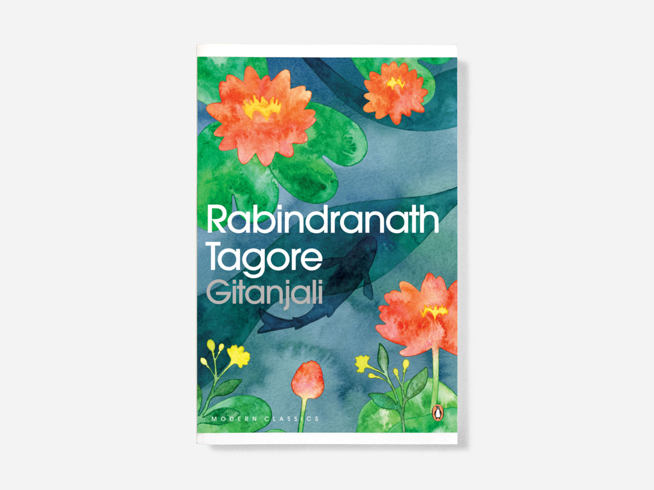 Watercolor Illustrations And More